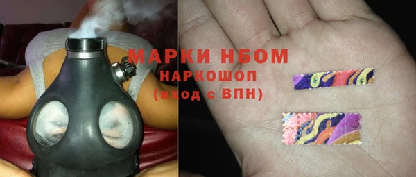 крисы Баксан